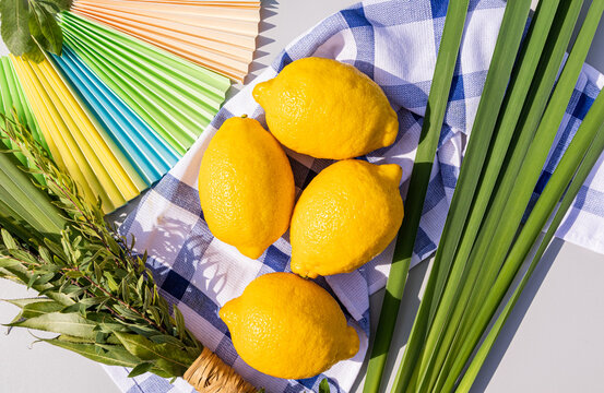 Ritual symbols of the Jewish holiday of Sukkot in close-up. Yellow etrog fruits, palm leaves, willow branches and myrtle trees. Colored paper crafts