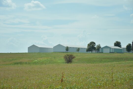 Metals Barns in a Farm Field