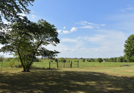 Farm Field
