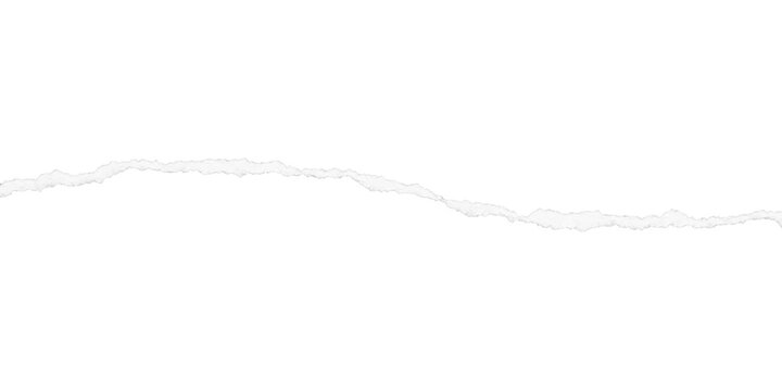 White ripped paper strip with a gentle descending arc