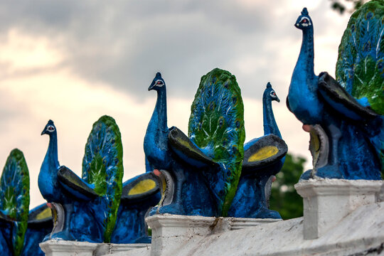 A row of peacock statues line the main courtyard at the Kataragama temple at Kataragama in  Sri Lanka. The peacocks symbolize the devine consort of Lord Murugan; who was Valli. 