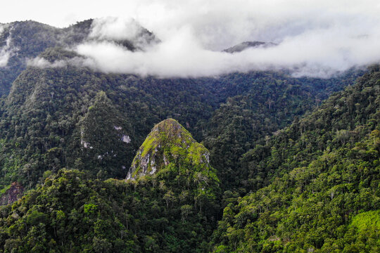 Leuser Ecosystem Forest in Aceh, Indonesia