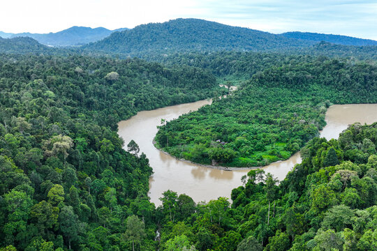 Leuser Ecosystem Forest in Aceh, Indonesia