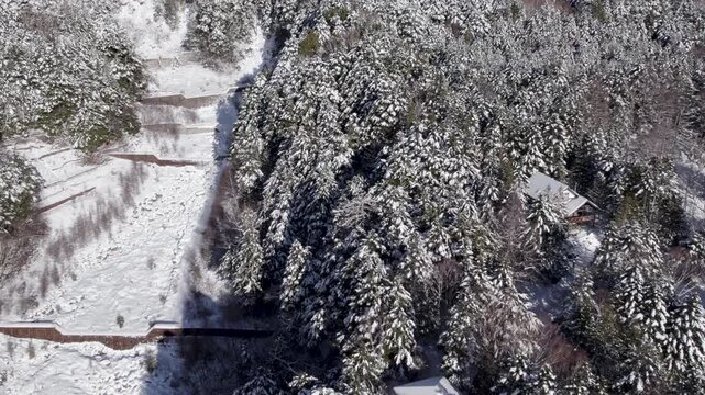 Aerial View Of Frozen Mountain Landscape And Snow Covered Forest