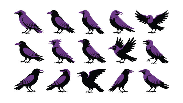 Set of stylized purple and black crow illustrations in various poses isolated on white