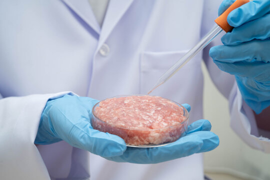 Scientist holding Petri dish with meat in science laboratory for food product development.