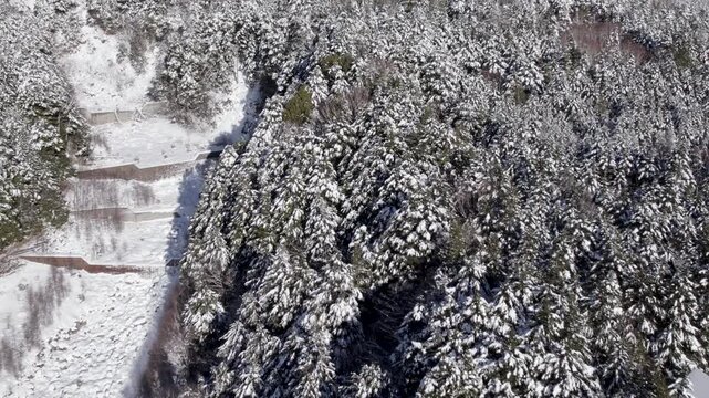 Flying Over Scenic Mountainside Covered In Snow And Frozen Trees