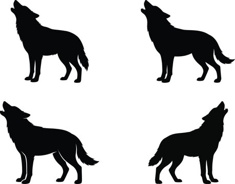 Four wolves howling silhouette style Vector