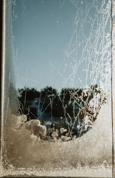 Frost and Snow covered window