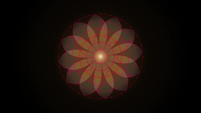 Sacred geometry mandala animation with glowing golden center and red geometric lines on black background featuring rotating flower patterns for meditation yoga.