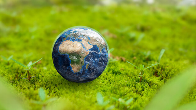 Miniature Earth resting on lush green moss, representing environmental protection, nature conservation, sustainability, ecology, and care for our planet.