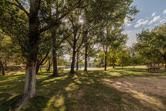 Trees and River Beach of Cional, Valpara&iacute;so Reservoir, Zamora, Spain.