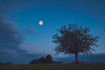 Full Moon, stars and planets above landscape silhouettes in blue hour time. © astrosystem