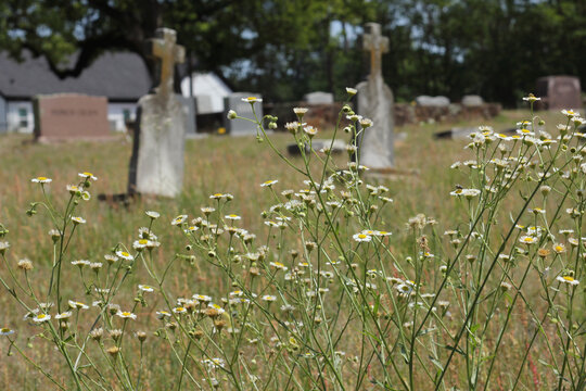 Historic Liberty Hill Cemetery With Church in Background Located in Tyler TX
