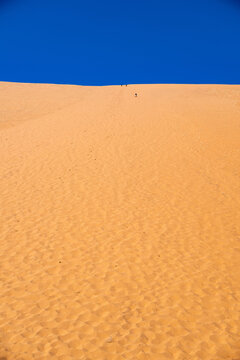 Desert Solitude