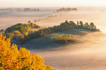 Obraz premium Rolling autumn hills are illuminated by warm sunrise light with a soft layer of fog