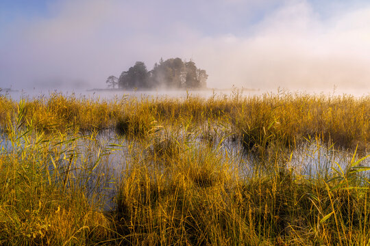 Nebliger Fr&uuml;hherbstmorgen am gro&szlig;en Ostersee, Bayern, Deutschland, Europa