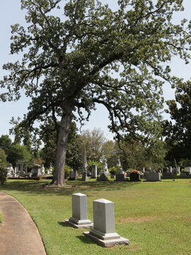 Historic Scottsville Cemetery, Scottsville Texas