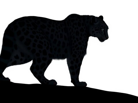 snow leopard black silhouette on white background, vector icon, simple design