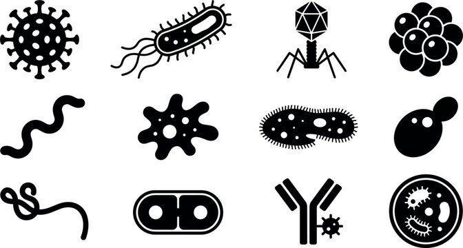 Microbiology and virology vector icon set featuring black silhouettes of virus cells, bacteria types, bacteriophages, amoebas, antibodies, and microscopic organisms.