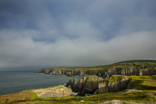 Newfoundland