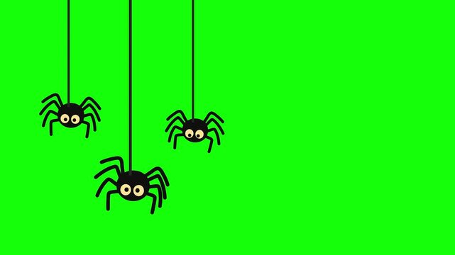 Animated Halloween spiders with cheerful eyes hanging on threads on a vibrant green screen background