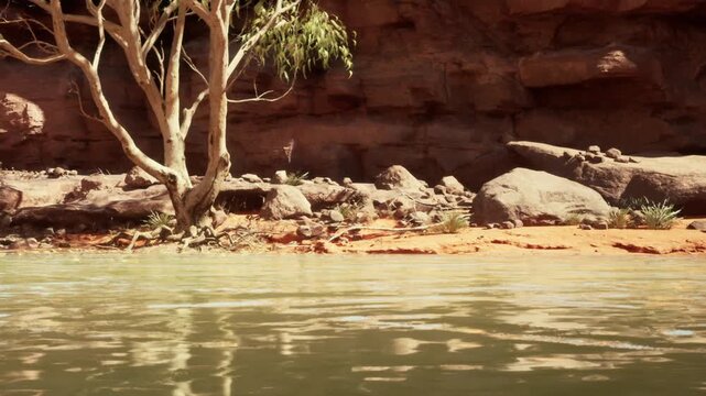 A tree stands by the riverbank near rocky formations and shrubs. The water reflects the surrounding landscape. This scene captures a simple moment in nature during daylight.