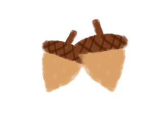 Acorn © พรชนก วิษณุพรชนินทร์