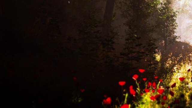 Sunlight filters through trees in a forest, illuminating patches of flowers growing on the ground. The scene captures a moment of nature at dawn.