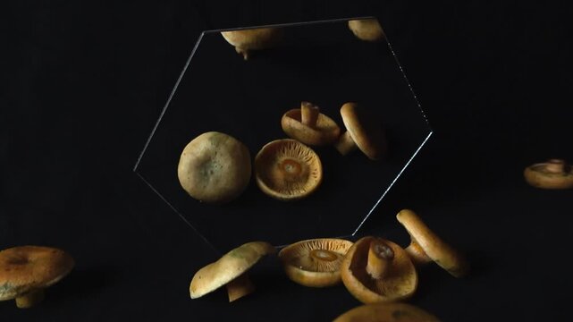 Fresh orange milkcap mushrooms falling down on a dark background in slow motion, with a hexagonal mirror creating abstract reflections. Still life composition with edible Lactarius deliciosus