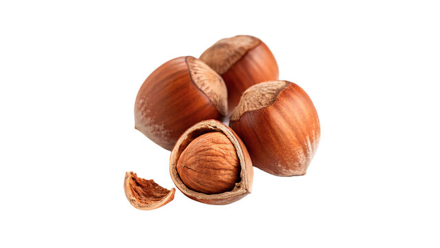 Group of raw whole hazelnuts in textured brown shells organic healthy snack