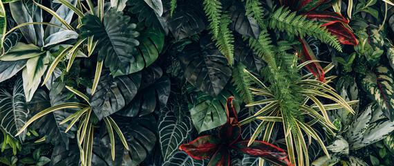 Obraz premium Full Frame of Green Leaves Pattern Background, Nature Lush Foliage Leaf Texture, tropical leaf