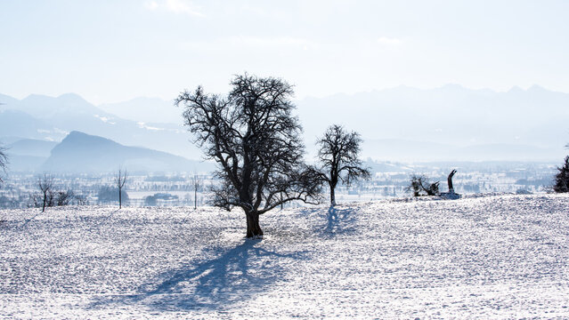 Winterlandschaft mit Sonnenschein, Schnee und Eis in den Schweizer Alpen