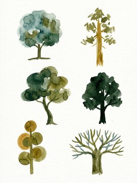 Collection of Hand Painted Watercolor Evergreen and Deciduous Trees Featuring Diverse Forest Landscapes for Botanical Design Projects