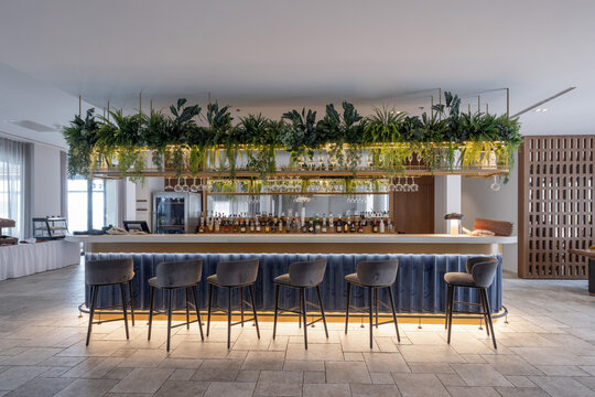 Modern hotel bar counter with high stools and hanging green plants setup