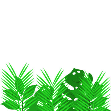 Greenery Tropical Shurbs