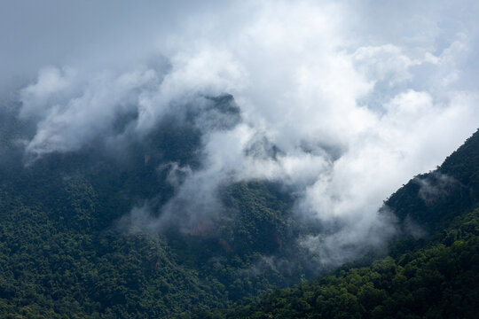 Cloudy misty mountain forest landscape lush green vegetation, dramatic cloud cover over remote valley, peaceful wilderness scene with dense rainforest and fog