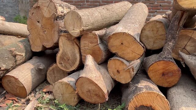 Close up of chopped tree trunks for timber industry