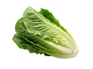 Fresh crisp organic romaine lettuce head with vibrant green leaves showcasing healthy culinary ingredients for vibrant salads on transparent background © Himel