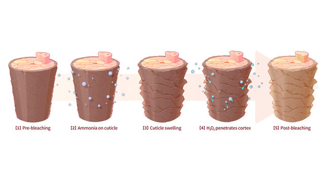 Hair bleaching principle 3d elements, illustration