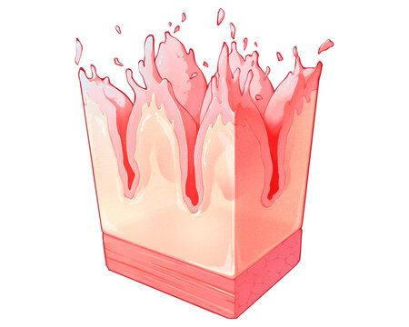 Filiform papilla section, illustration