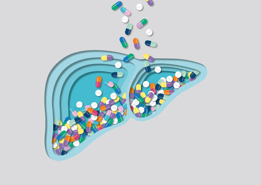 Hepatotoxicity, conceptual illustration