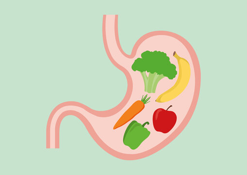 Healthy diet, conceptual illustration