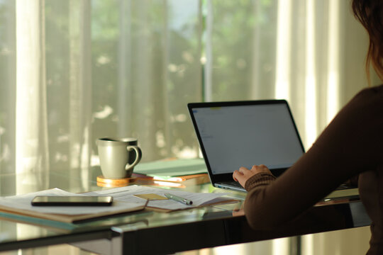 Telecommuter working online at home or hotel