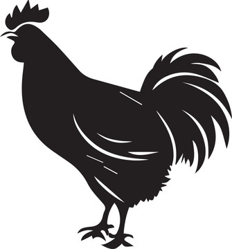 Rooster Silhouette Black Bird Vector Illustration, Farm Chicken Design