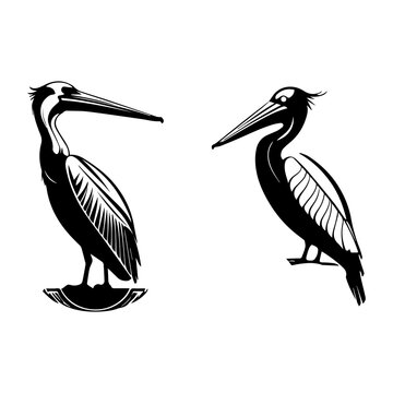 Long Billed Water Bird Silhouette Collection, Pelican Wildlife Vector