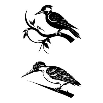 Perching Bird Silhouette Collection, Woodpecker and Kingfisher Style Vector