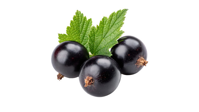 Small bunch of ripe blackcurrant berries with leaves isolated on transparent background