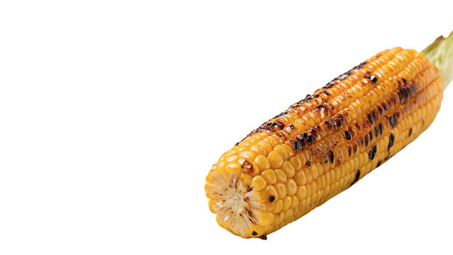 Grilled sweet corn on a wooden stick traditional roasted street food snack isolated