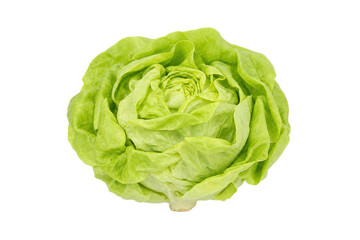 Fototapeta premium Fresh, vibrant green butterhead lettuce head, viewed from directly above, isolated on a clean white background with soft, even lighting